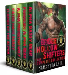 Bridge Hollow Shifters: The Complete Collection