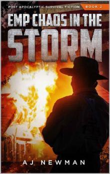 EMP (Book 2): Chaos In The Storm