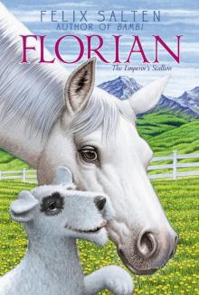 Florian: The Lipizzaner