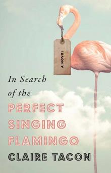 In Search of the Perfect Singing Flamingo