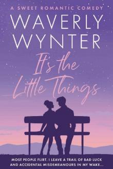 It's the Little Things: A sweet romantic comedy novella