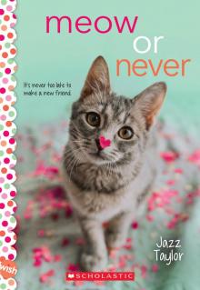 Meow or Never