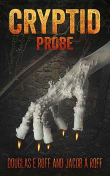 Probe