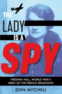 The Lady Is a Spy