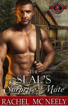 The SEAL’s Surprise Mate - Rachel McNeely