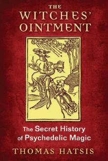 The Witches' Ointment