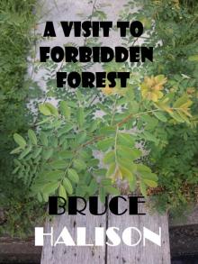 A Visit to Forbidden Forest