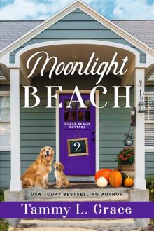 Moonlight Beach