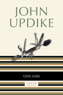 Odd Jobs: Essays and Criticism