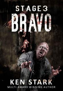 Stage 3 (Book 3): Bravo