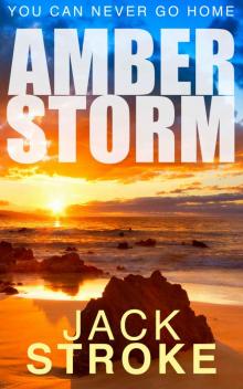 Amber Storm (Assassin In Paradise Book 1)