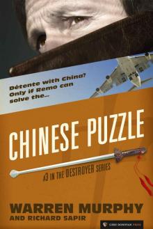 Chinese Puzzle