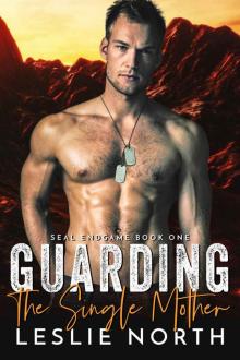 Guarding the Single Mother (SEAL Endgame Book 1)