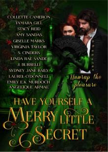 Have Yourself a Merry Little Secret : a Christmas collection of historical romance (Have Yourself a Merry Little... Book 2)