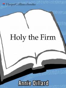 Holy the Firm