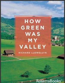 How Green Was My Valley