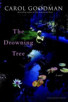 The Drowning Tree