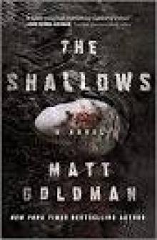 The Shallows--A Nils Shapiro Novel