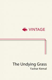 The Undying Grass