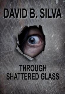 Through Shattered Glass