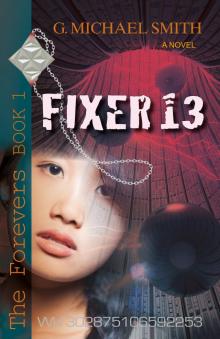 Fixer 13