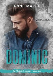 Dominic: The Protectors Trilogy - Book one