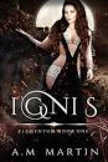 IGINS: Elementum Novel