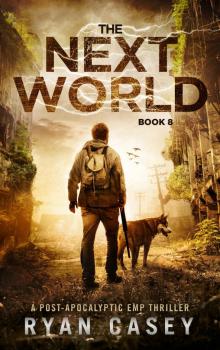 Into the Dark (Book 8): The Next World