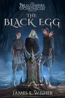 The Black Egg