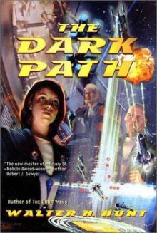 The Dark Path