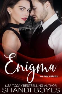 The Final Chapter: Enigma, #4