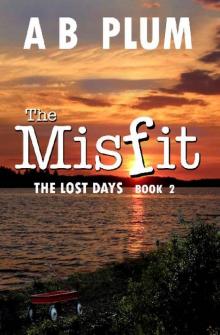 The MisFit Series (Book 2): The Lost Days