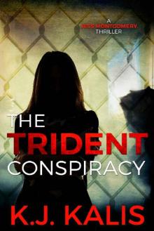 The Trident Conspiracy: A Gripping Vigilante Thriller