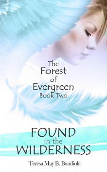 The Forest of Evergreen: Found in the Wilderness