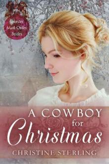 A Cowboy for Christmas (Spinster Mail Order Brides Book 11)