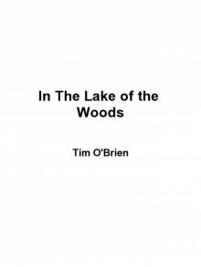 In the Lake of the Woods