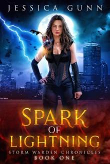 Spark of Lightning: Storm Warden Chronicles Book 1