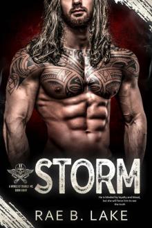 Storm- A Wings of Diablo MC Novel #8