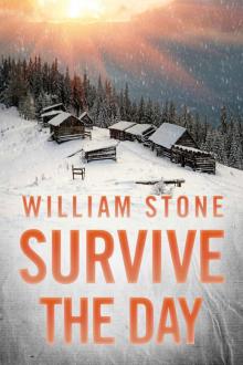 Survive the Day Boxset: EMP Survival in a Powerless World