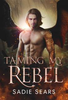 Taming My Rebel: A Dragon Shifter Romance