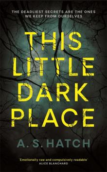 This Little Dark Place