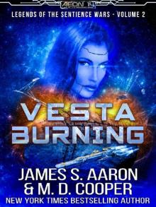 Vesta Burning