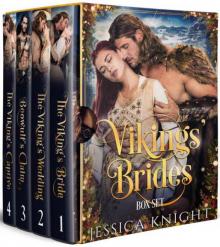 Vikings' Brides 4 Book Box Set