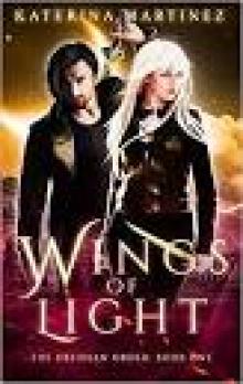 Wings of Light