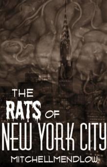 The Rats of New York City