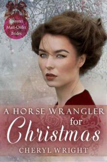 A Horse Wrangler for Christmas