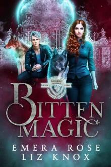 Bitten Magic (Bloodborn Academy Book 1)