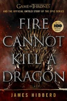 Fire Cannot Kill a Dragon