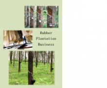 Rubber Plantation Business