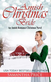 Amish Christmas Bride